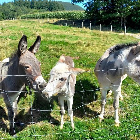 La Petite Ferme Villa La Chapelle  Eksteriør billede
